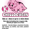 Rawr Shroom Sampler Box - Image 7