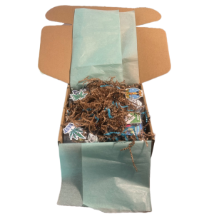 Rawr Shroom Sampler Box